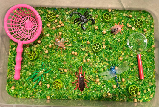 Catch the Bugs