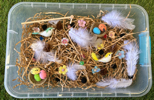 Birds Nest
